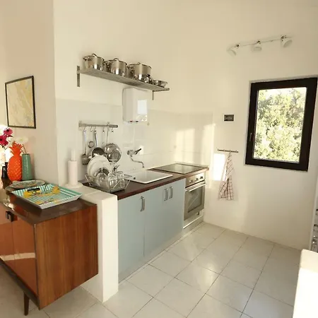 Apartment Anica Mandre